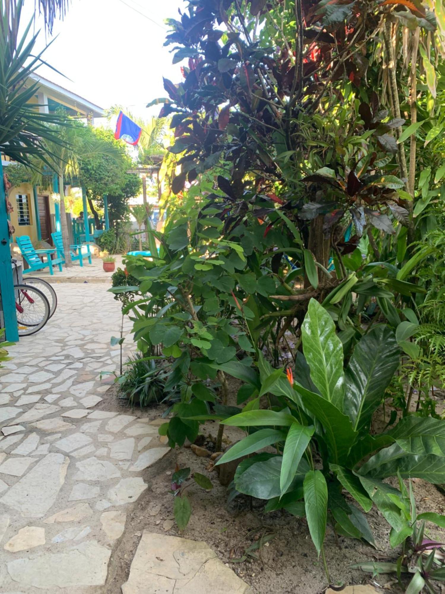 All Seasons Belize Хопкинс Экстерьер фото